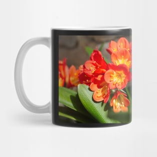 when they are in full splendor they just make life more colorful. Mug